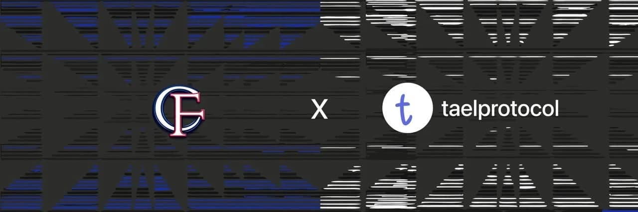 Partnership announcement with Tael Protocol