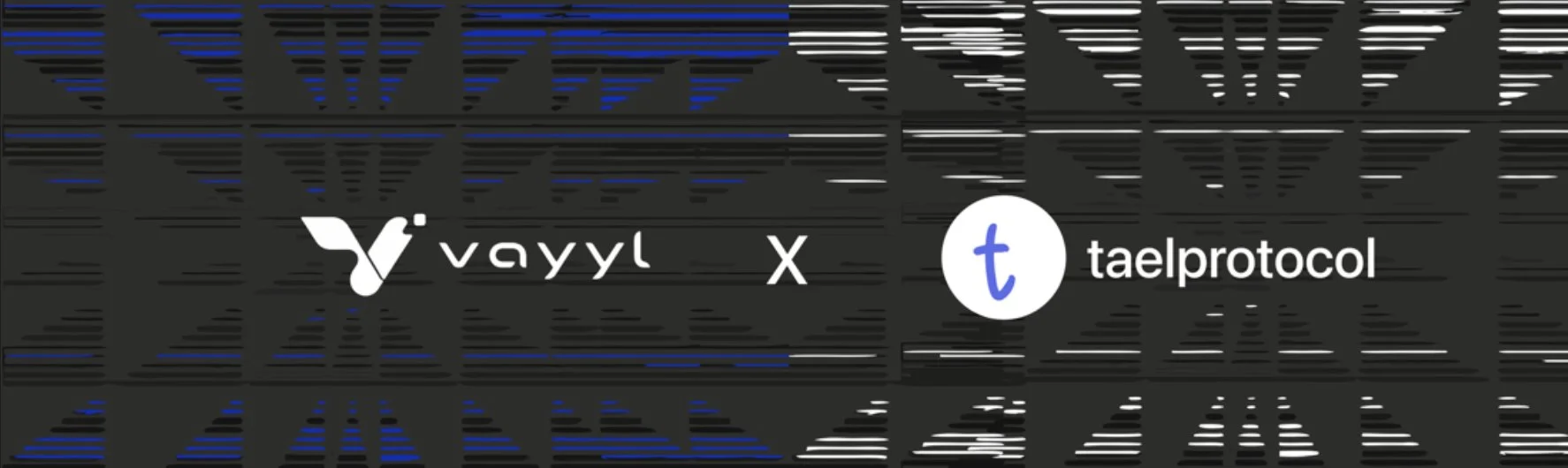 Vayyl × Tael Protocol partnership announcement